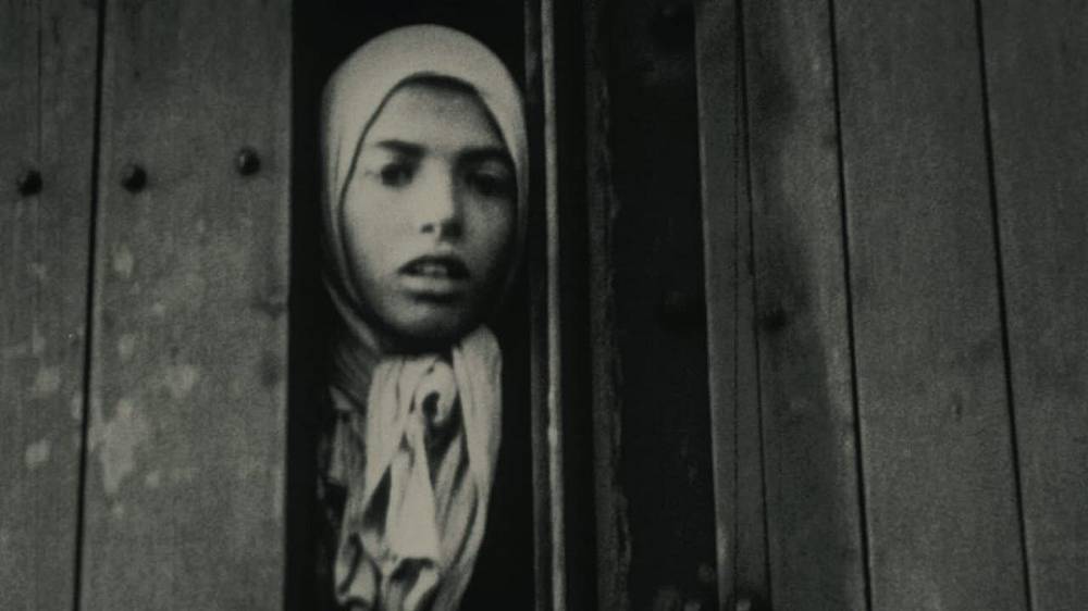 Night and Fog (1956), Režisér Alain Resnais dokumentuje zvěrstva za zdmi Hitlerových koncentračních táborů.