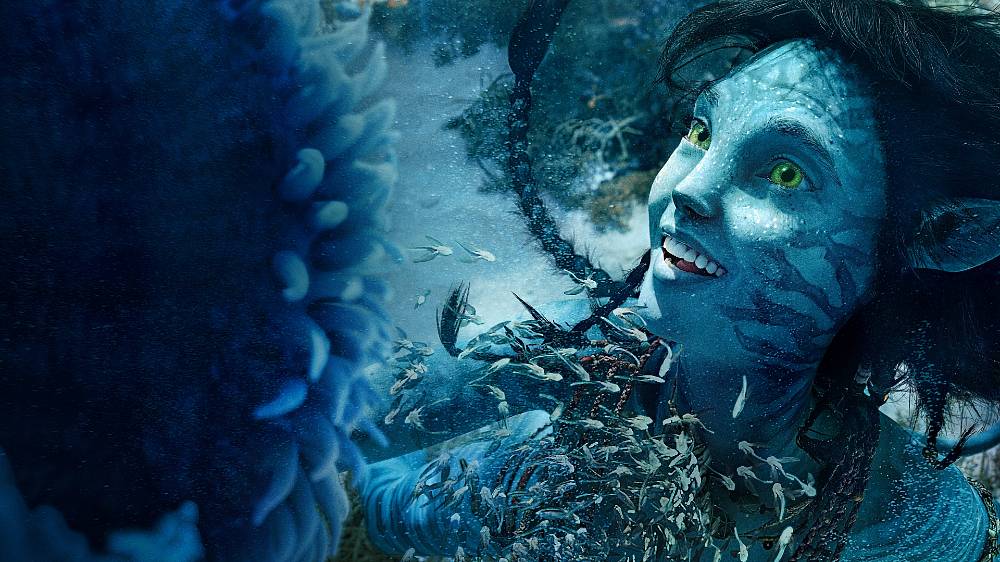 Slovo “avatar“ znamená v indickém jazyce sanskrt “vtělení“ (inkarnaci) a je používáno v hindských svatých písmech především jako označení vtělení boha do člověka.