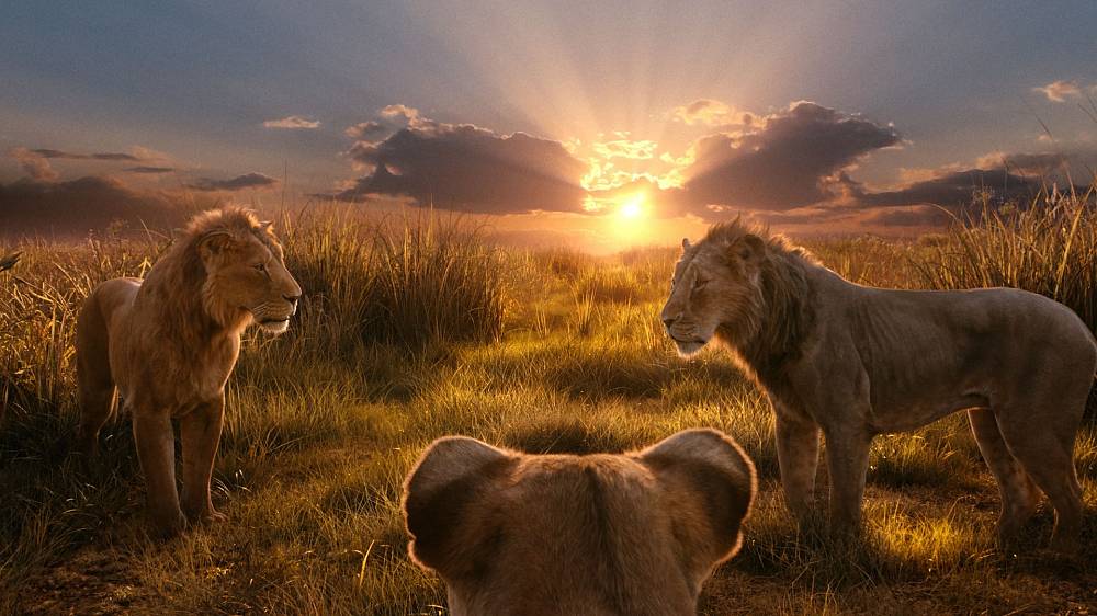 Mufasa: Lví král (2024).
Šaman Rafiki vypráví legendu o tom, jak se vlády nad Lví říší ujal mladý lev, který se stal všemi oblíbeným vládcem. Divákům představuje osiřelého lvíčka Mufasu a přátelského lva jménem Taka, dědice lvího trůnu, a zavádí je na velkolepou pouť, na které oba lví hrdiny doprovází skupinka svérázných postav. Příběh se odvíjí prostřednictvím flashbacků. Ztracený a osamělý lvíček Mufasa se jednoho dne setká s přátelským lvem Takou, dědicem lvího trůnu. Jejich náhodné setkání představuje začátek velkolepé pouti pozoruhodné skupinky svérázných hrdinů, kteří se pokoušejí zjistit, co jim život doopravdy přisoudil. Společným úsilím jsou nuceni uniknout hrozivému a smrtícímu nepříteli a zjistit, zda je jejich vzájemné pouto skutečně dostatečně silné na to, aby této zkoušce odolalo.
