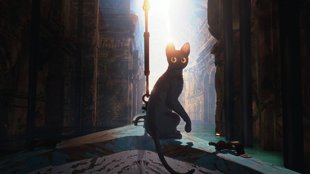 Animovaný, Fantasy, Dobrodružný. Svět se zdá být na konci, plný pozůstatků lidské přítomnosti. Kočka je samotářské zvíře, ale když je její domov zničen velkou povodní, najde útočiště na lodi obývané různými druhy, se kterými se musí spojit navzdory jejich odlišnostem. Na osamělé lodi plující mystickou zaplavenou krajinou se tak vyrovnávají s výzvami a nebezpečími, které jim přináší adaptace na tento nový svět.
