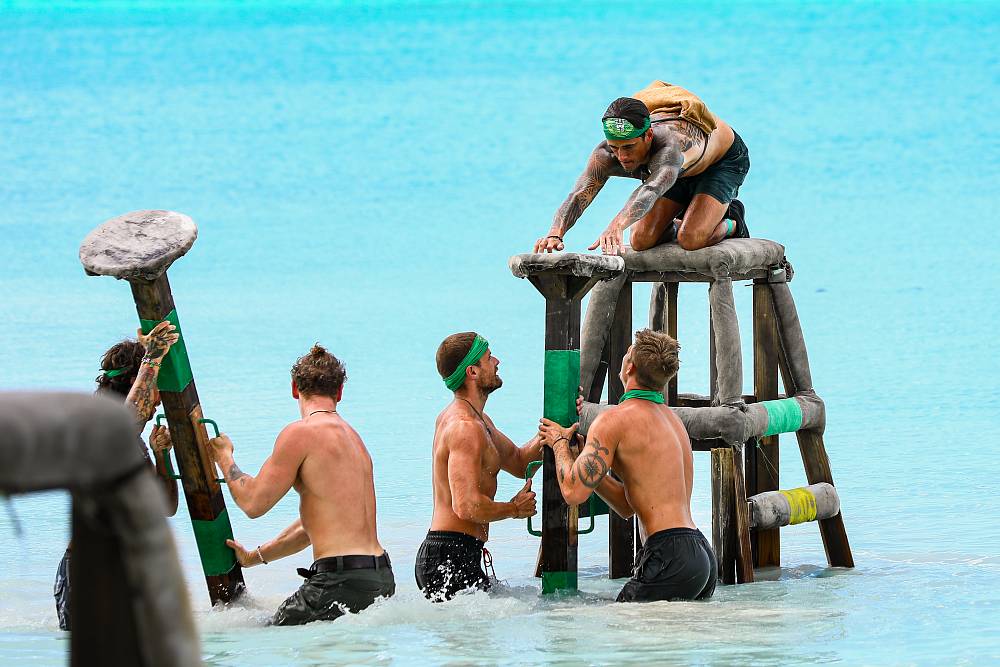Survivor 12