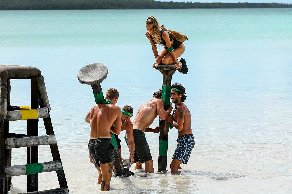 Survivor 12