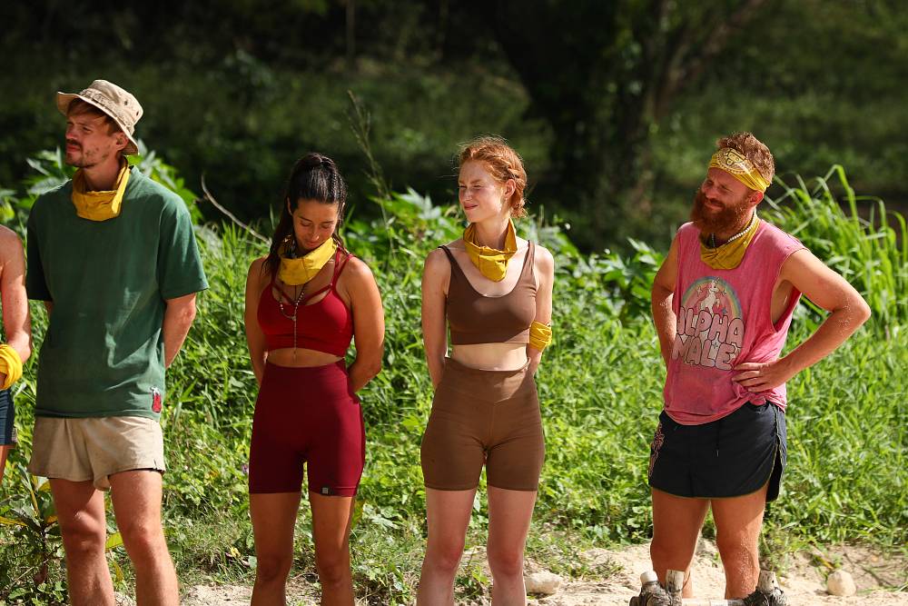 Survivor 15