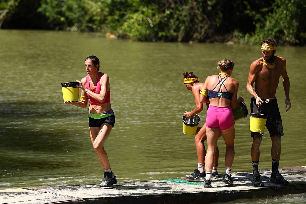Survivor 15