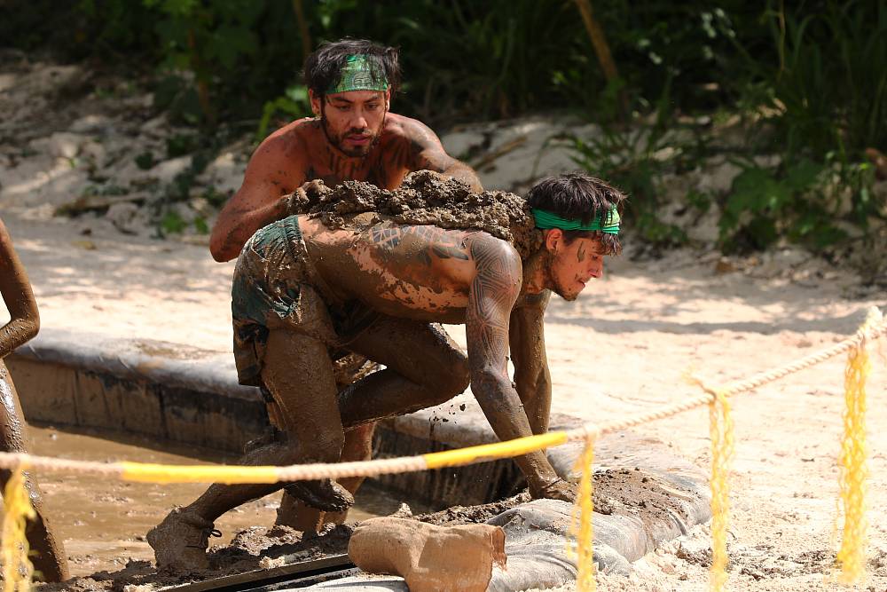 Survivor 15