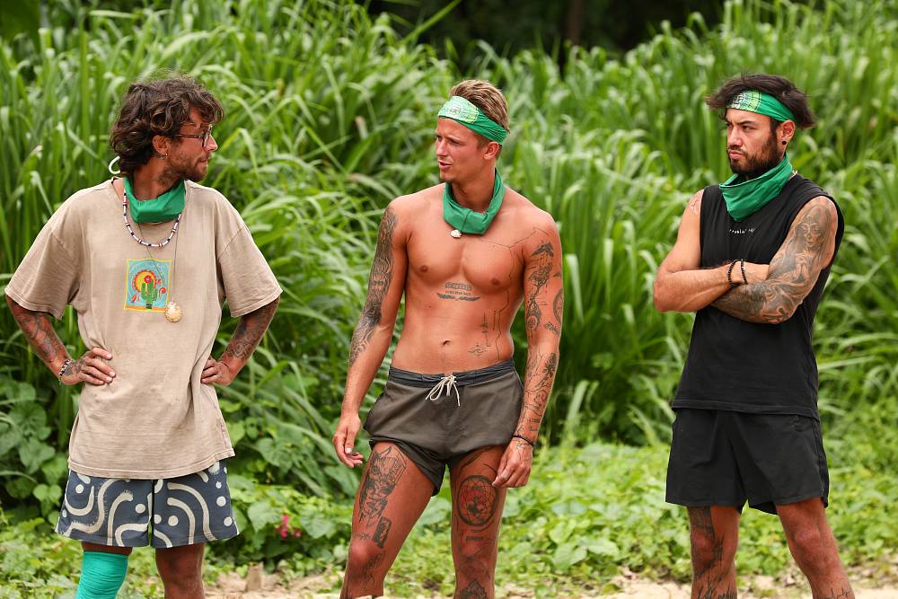 Survivor 19