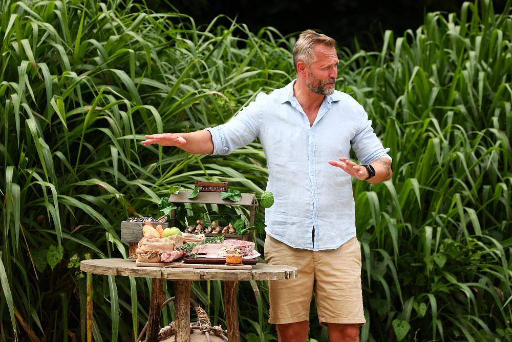 Survivor 19