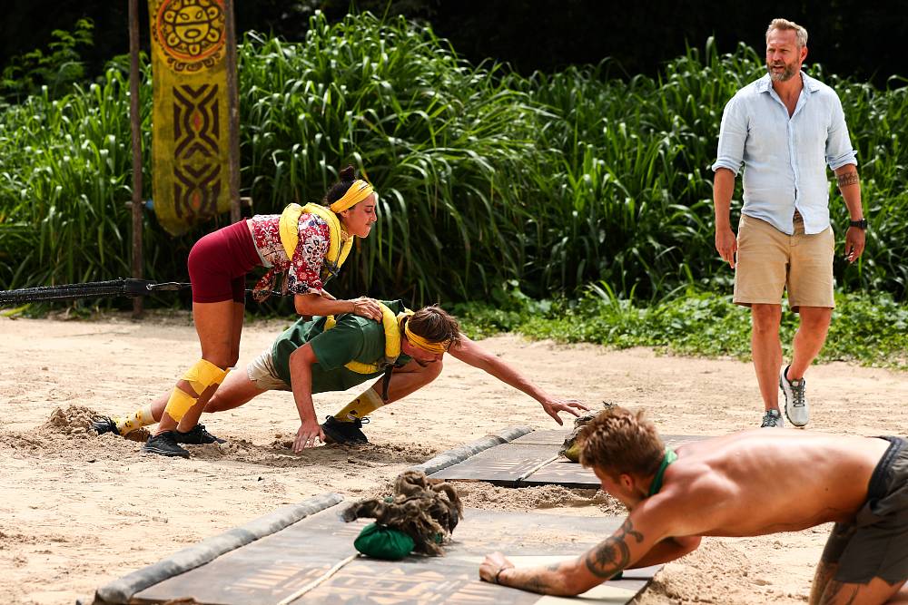 Survivor 19