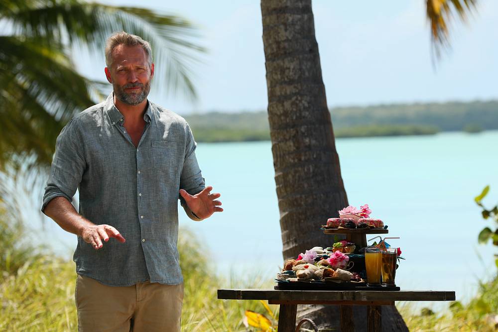Survivor 19