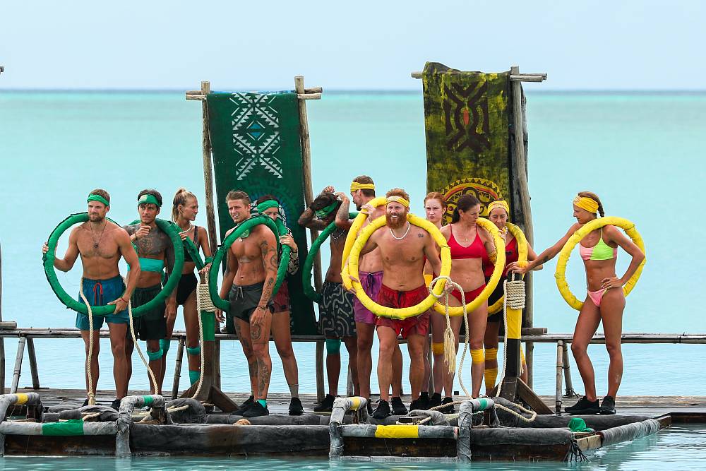 Survivor 19