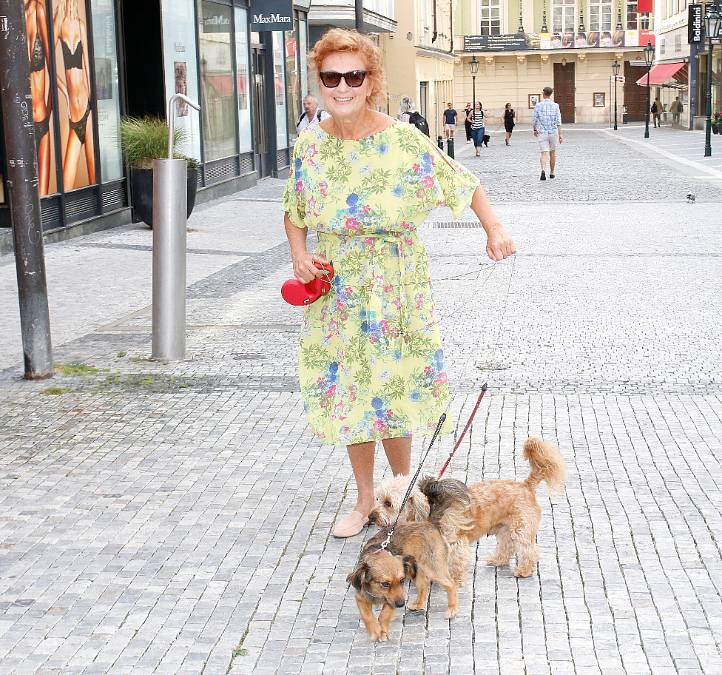 Tato herečka se vrásek bát nemusí. Po padesátce se z ní stala krásná a elegantní dáma