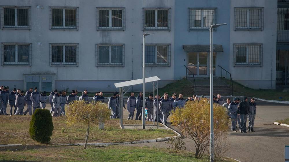 Pár rostlin konopí na mast může přijít nadšené či zoufalé pěstitele draho – o tom je nový dokumentární film Smoke