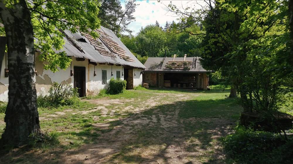 Farma Česko: Husa je nebezpečná, má strašné zuby a v kamnech se ohniště založí v troubě. Košilatá letní zábava začíná