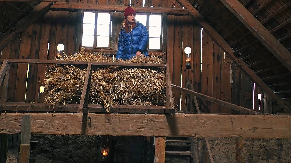 Farma Česko: Husa je nebezpečná, má strašné zuby a v kamnech se ohniště založí v troubě. Košilatá letní zábava začíná