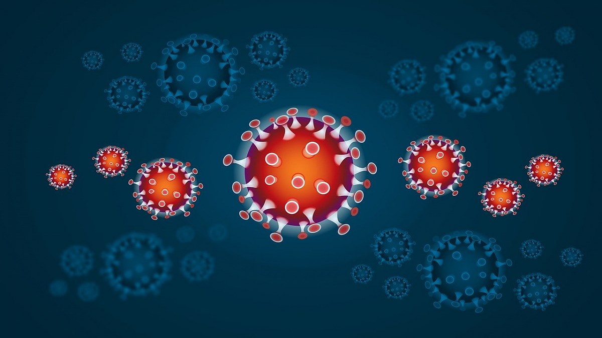 Mapa koronaviru v Česku Koronavirus