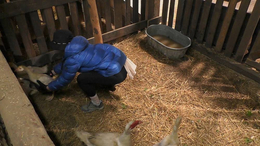 Veve z Farmy chtěla tanga, dostala gaťky po babičce. A všichni by si přáli mlhu, když se šel Luboš koupat