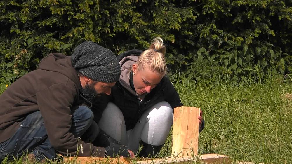 Počet krav na Farmě se zvýšil, dvě přivedl hospodář