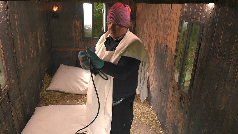 Počet krav na Farmě se zvýšil, dvě přivedl hospodář