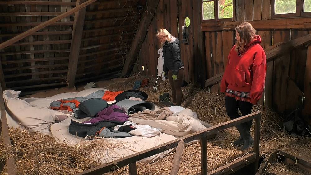 Počet krav na Farmě se zvýšil, dvě přivedl hospodář