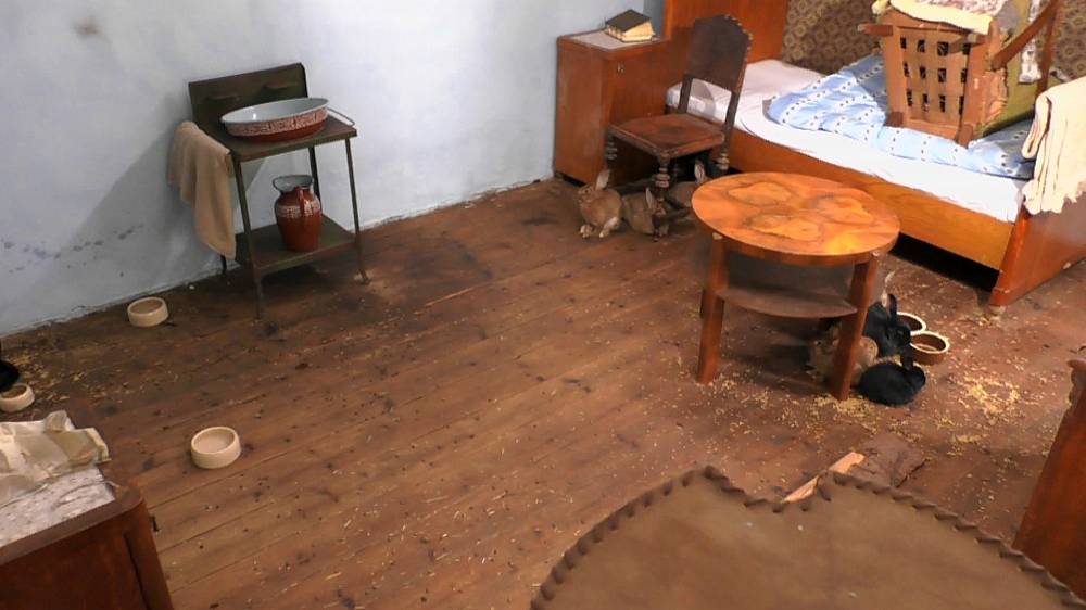 Počet krav na Farmě se zvýšil, dvě přivedl hospodář