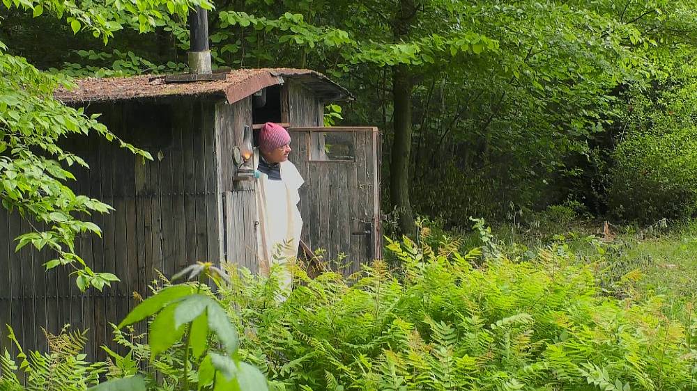 Počet krav na Farmě se zvýšil, dvě přivedl hospodář