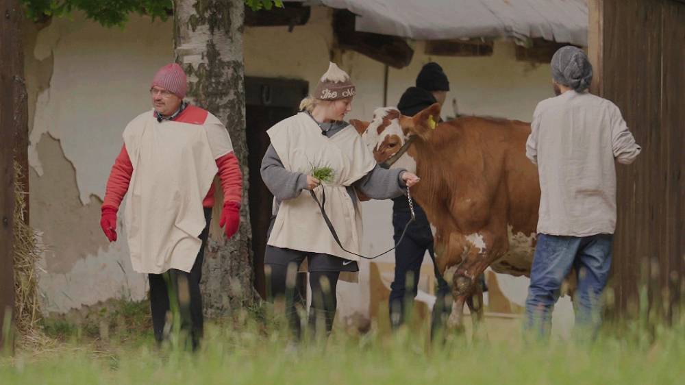 Počet krav na Farmě se zvýšil, dvě přivedl hospodář