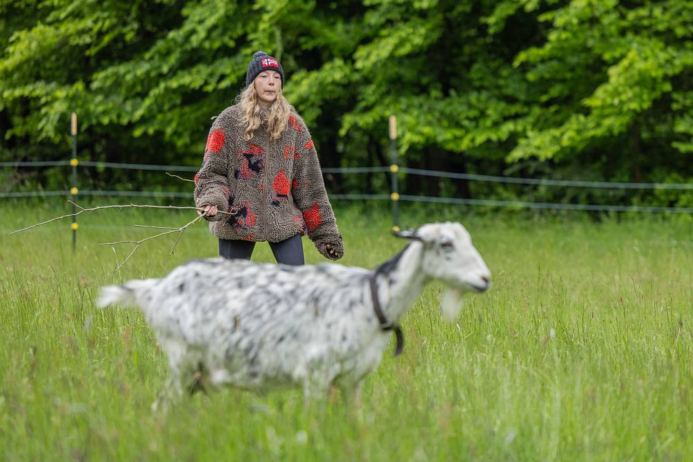 Líný farmář Andrej vs. ukňouraný sluha Luboš: Přetahovaná tělem, kvíz mozkem – a nikdo nečte almanach pořádně