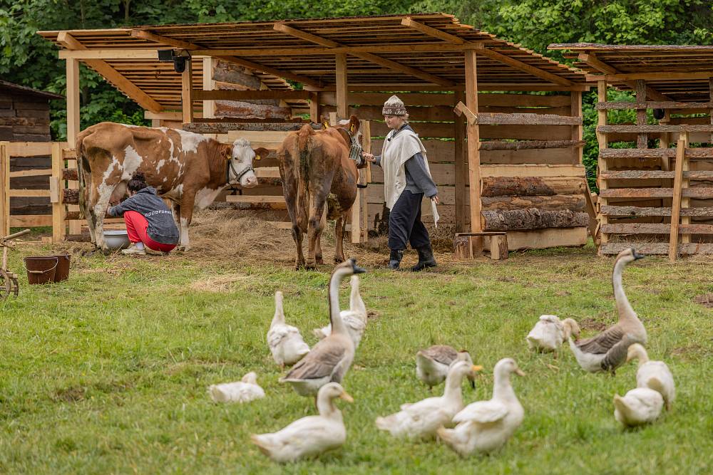 Líný farmář Andrej vs. ukňouraný sluha Luboš: Přetahovaná tělem, kvíz mozkem – a nikdo nečte almanach pořádně