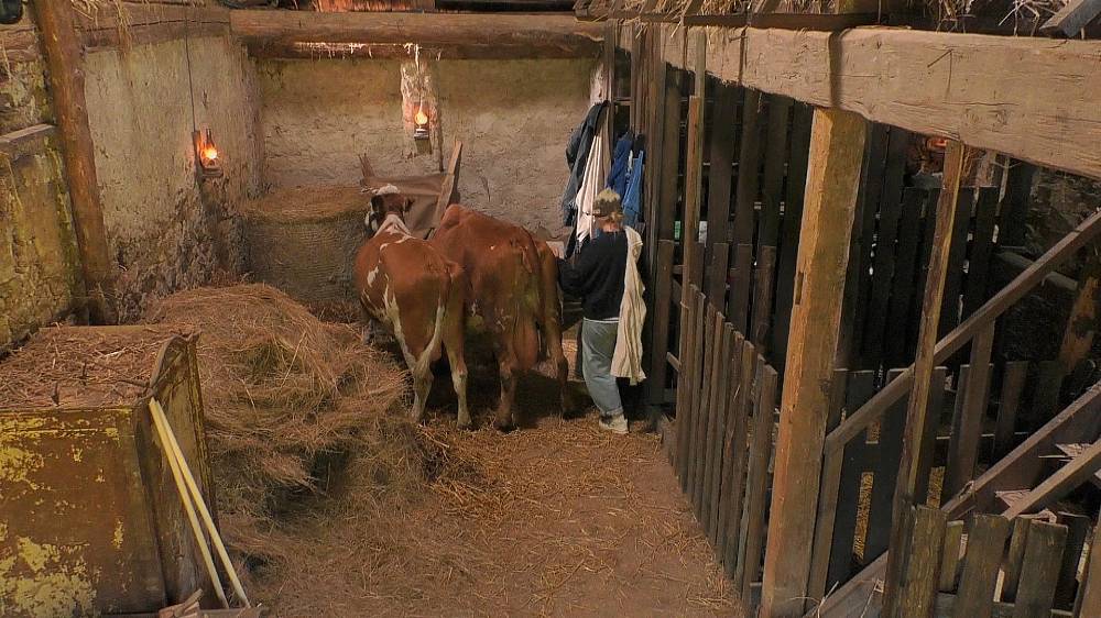 Na Farmě zmizel oheň, kýbl i smetana – začíná farmařina nebo detektivka?