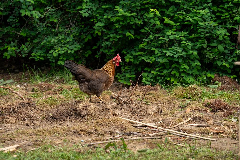 Kamery své dvě oblíbenkyně na Farmě nespustí z očí, ty navíc hrají před ostatními jen divadlo