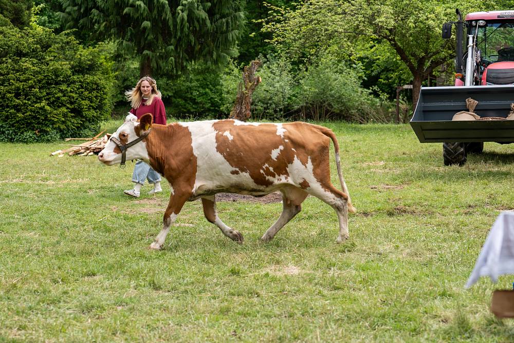Neznámí bandité způsobili na Farmě pořádný rozruch. Nakonec se z nich vyklubali další farmáři