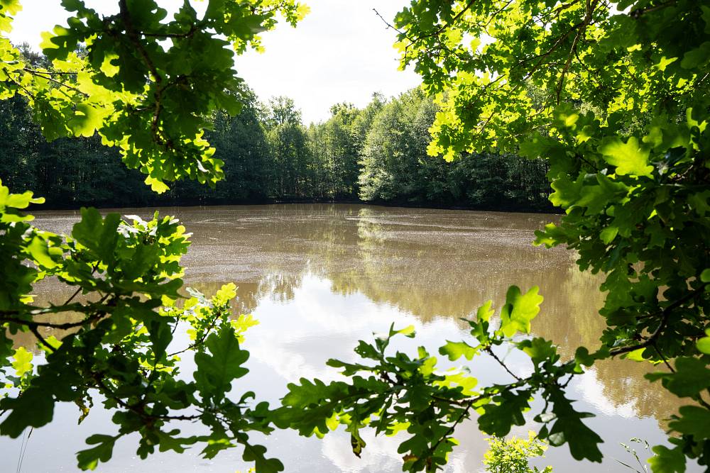 Neznámí bandité způsobili na Farmě pořádný rozruch. Nakonec se z nich vyklubali další farmáři