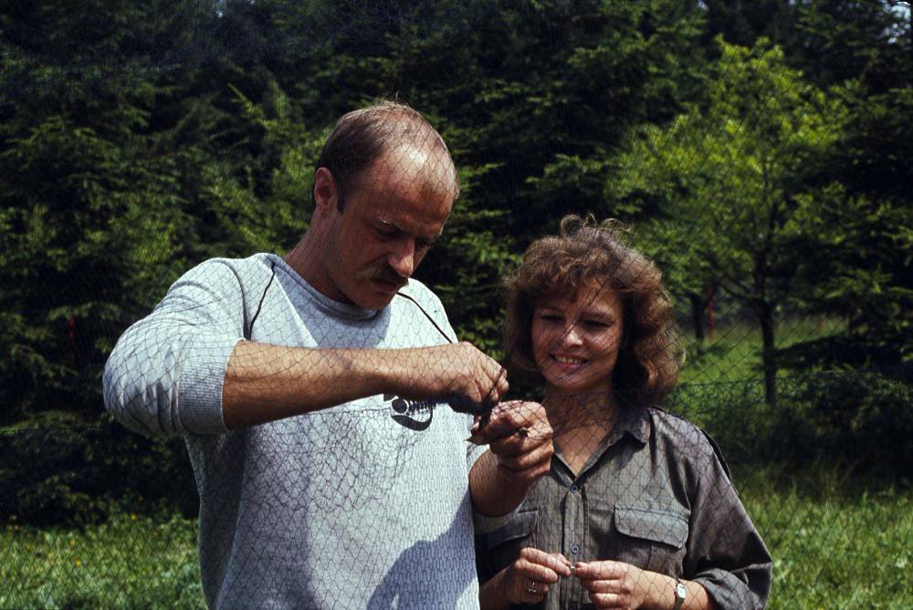 Velké sedlo: Poslední seriál Jaroslava Dietla se k nám vrací každé léto. I letos hrázný Palyza dbá na kvalitu pitné vody