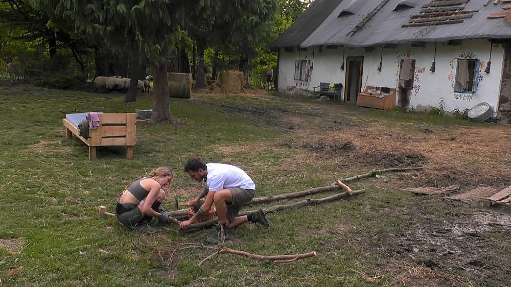 Mary se z duelu nevykroutila. Godla lapil slepici, ale asi nepochopil, že odměna mu nezacinká hned v kapse