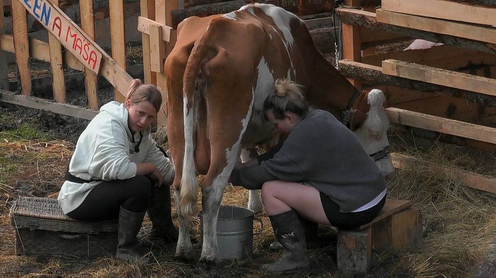 Mary se z duelu nevykroutila. Godla lapil slepici, ale asi nepochopil, že odměna mu nezacinká hned v kapse