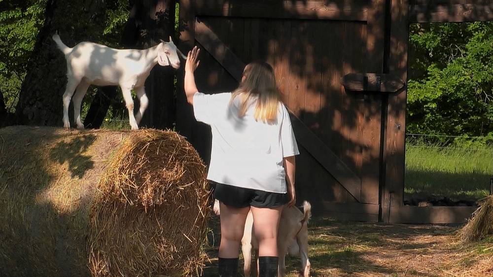 Mary se z duelu nevykroutila. Godla lapil slepici, ale asi nepochopil, že odměna mu nezacinká hned v kapse