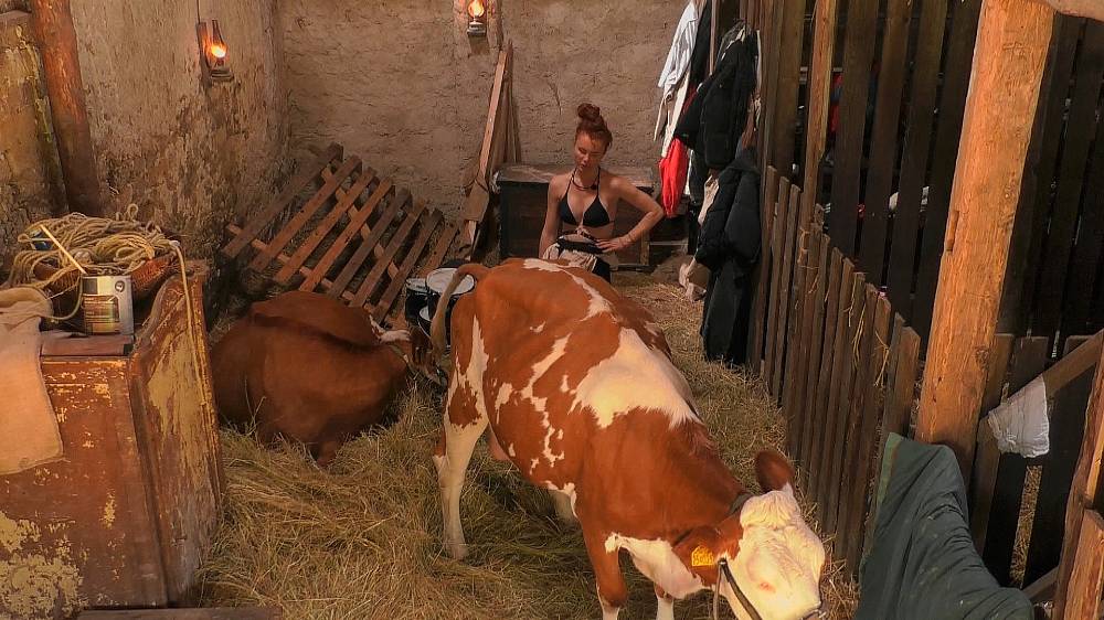 Mary se z duelu nevykroutila. Godla lapil slepici, ale asi nepochopil, že odměna mu nezacinká hned v kapse