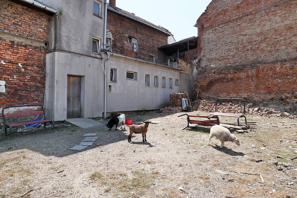 Pohlreich na Moravě: Restaurace U Jelena mu dala zabrat hned u vchodu