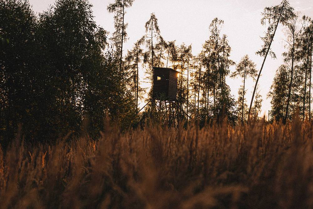 Farma Vojty Kotka: Velikonoce na venkově, stálý boj s vodou, noví obyvatelé farmy s hlavní vedoucí a nemotorný sedlák