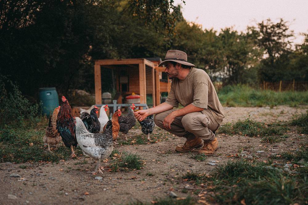 Farma Vojty Kotka: Slunce, ovce, 40 náklaďáků kamení a vlak, co předpovídá déšť