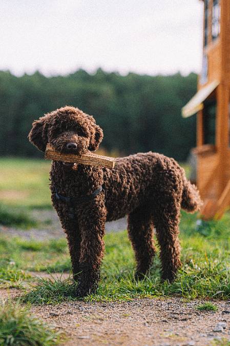 Farma Vojty Kotka přehodnocuje bio hospodaření, je to moc pracné. Vojta našel zálibu v myslivosti a u hasičů