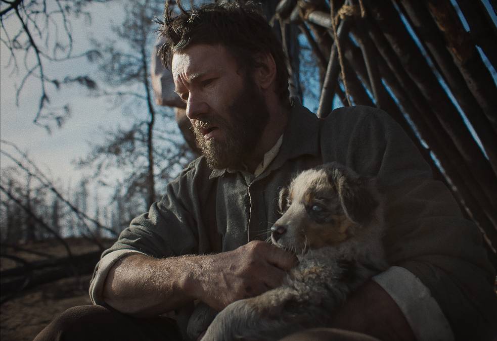 Něžná síla dřevorubce: Jak Sny o vlacích vyprávějí o lásce, která drží člověka při životě