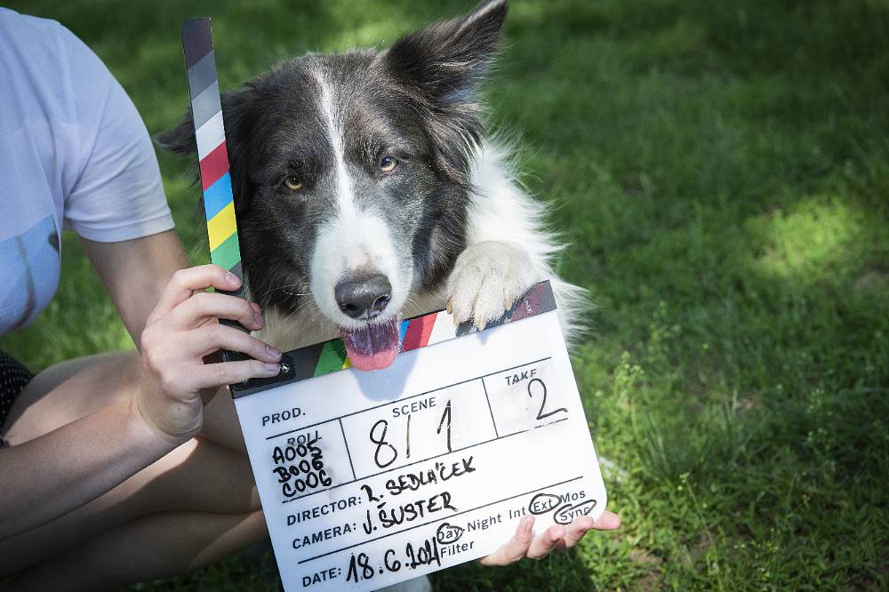 Řekni to psem komedie