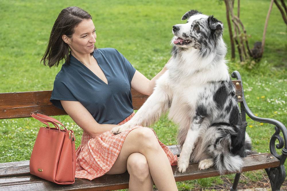 Řekni to psem komedie