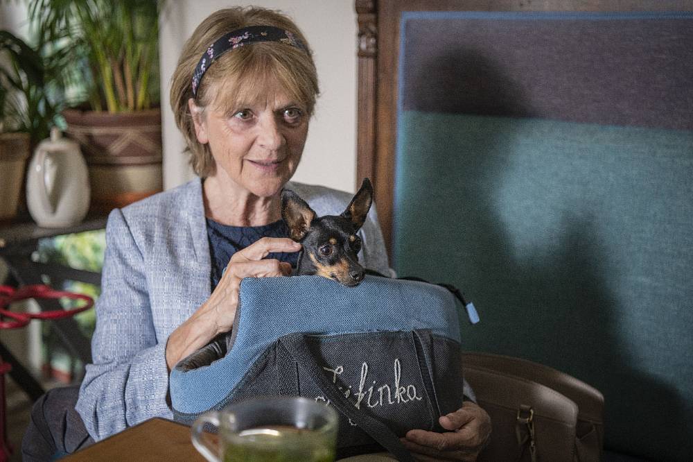 Řekni to psem komedie