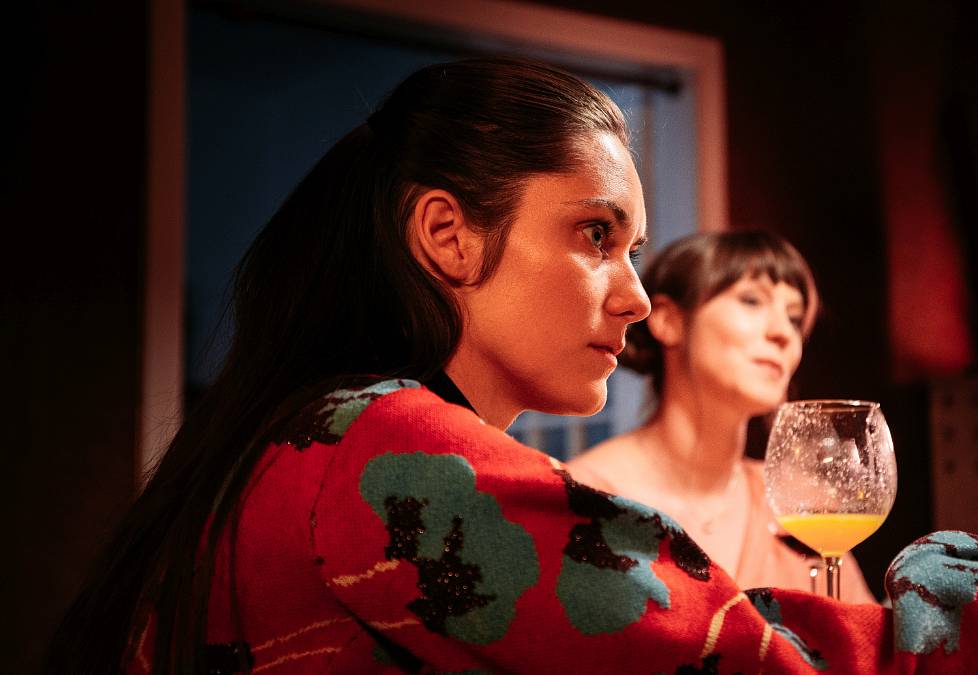 V roce 2023 si málo známá Simona Peková odnesla za tuto roli Českého lva