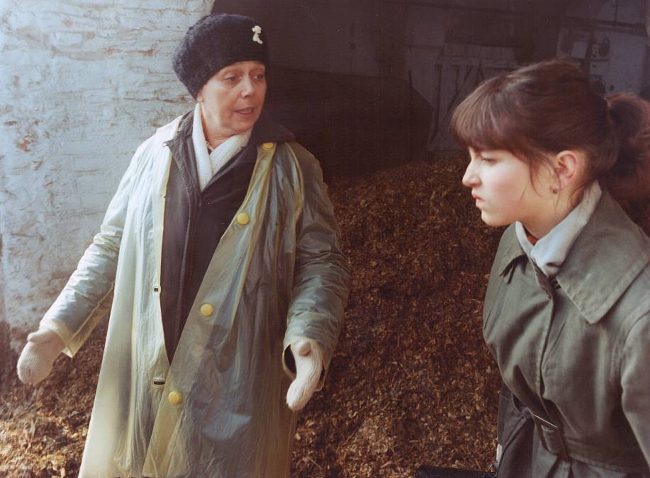 Pozvánka na nedělní retromaraton: české filmové poklady napříč desetiletími