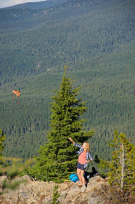 Divočina: Když se cesta přírodou stane cestou k sobě samé