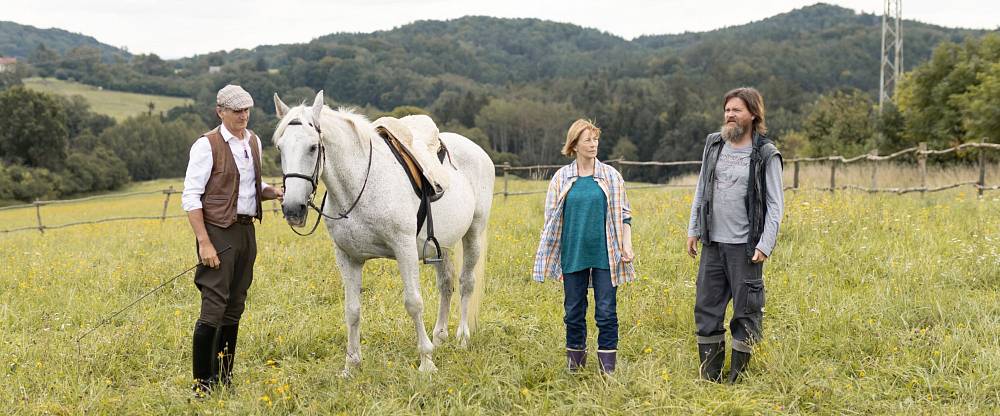 (Z MÉHO SEZNAMU 11.3.) Kůň, který změnil osud jedné ženy. Film Buko má nečekaně silný příběh