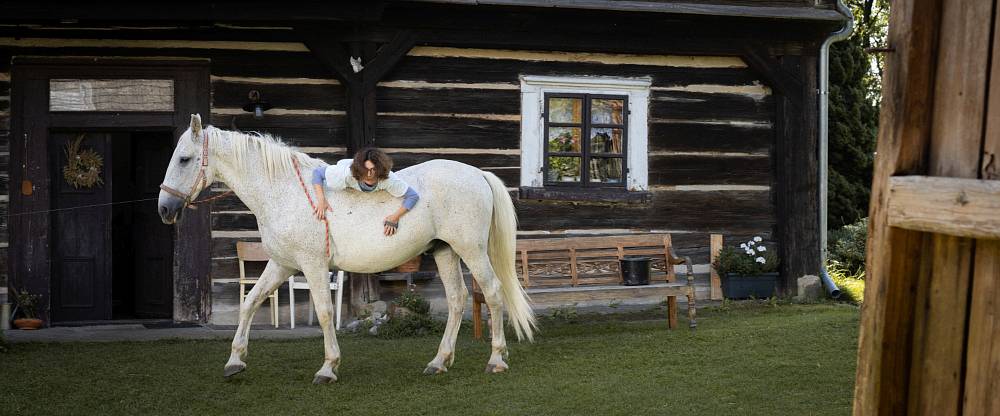 (Z MÉHO SEZNAMU 11.3.) Kůň, který změnil osud jedné ženy. Film Buko má nečekaně silný příběh
